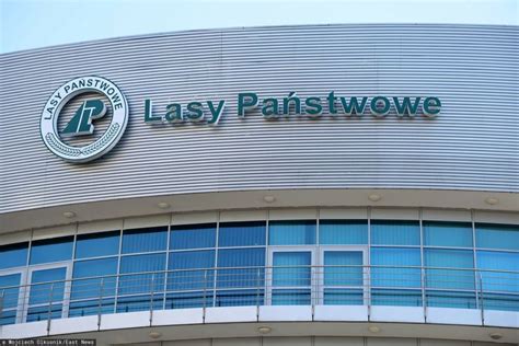Tak Lasy Państwowe wydawały miliony. Są wstępne wyniki audytu.